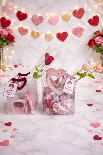 Mother's Day gift bag